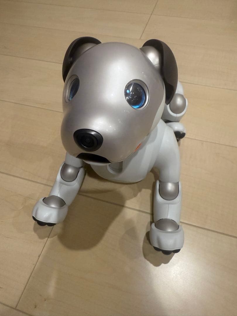 【美品】SONY aibo ERS-1000 ソニー アイボ アイボリー/グレー