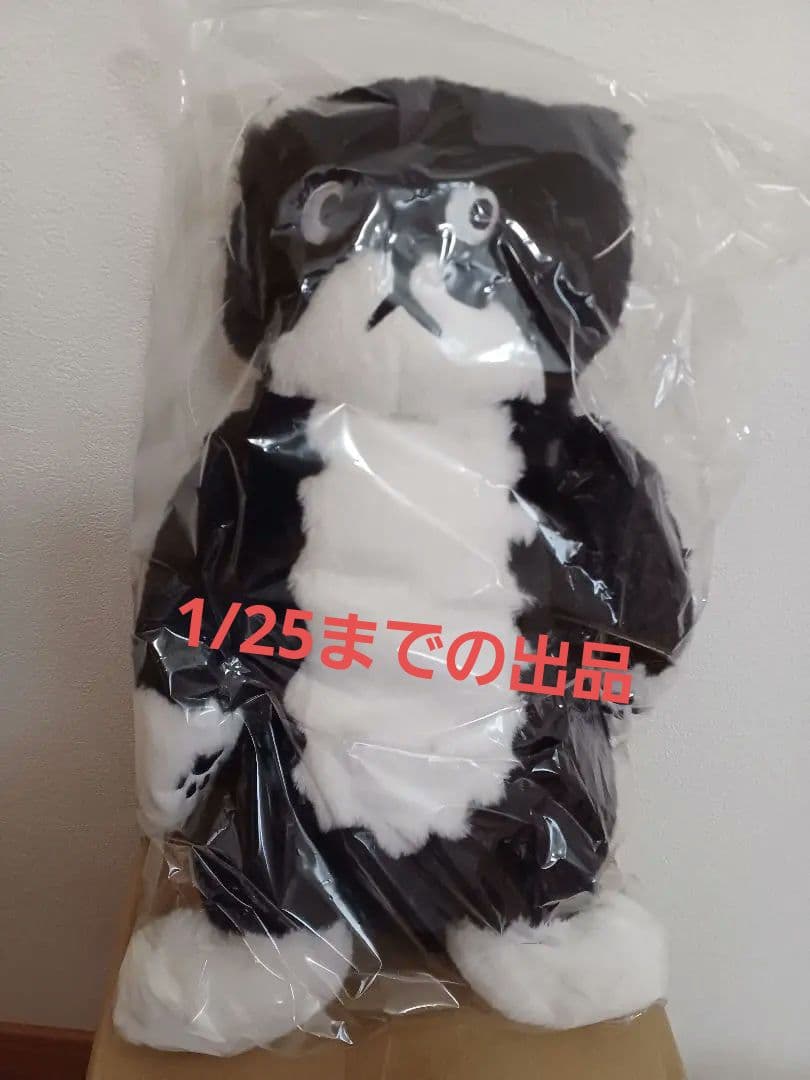 チェ・ヨンジュ 猫 ぬいぐるみ モーちゃん 1/25までの出品