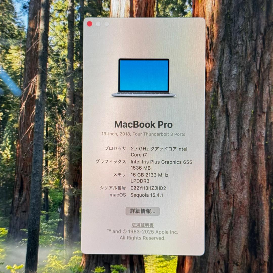 MacBook本体 P346 Apple MacBook Pro i7 16GB 256GB