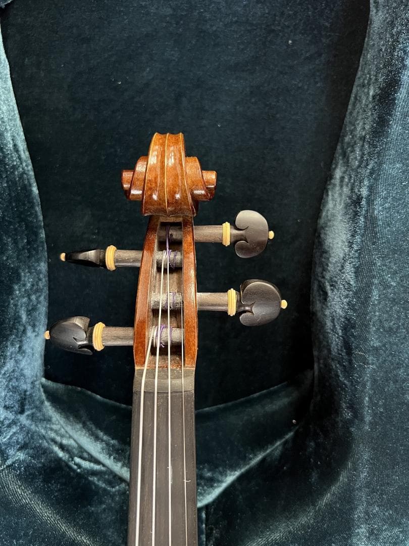 弦楽器 Alexandru Ozon Bucuresti Romania 2017