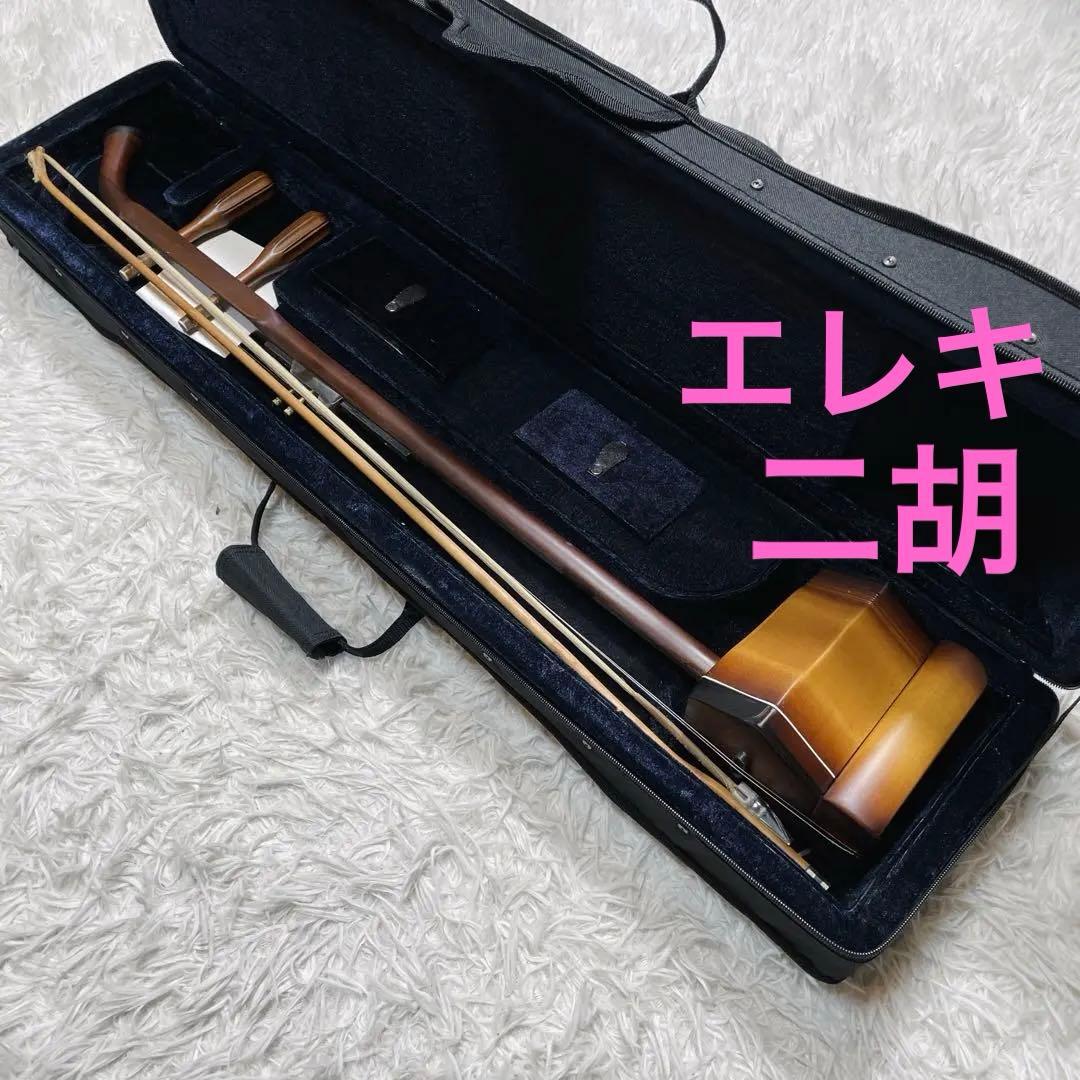 極美品　電気　ニ胡　エレキ　セミハードケース付き