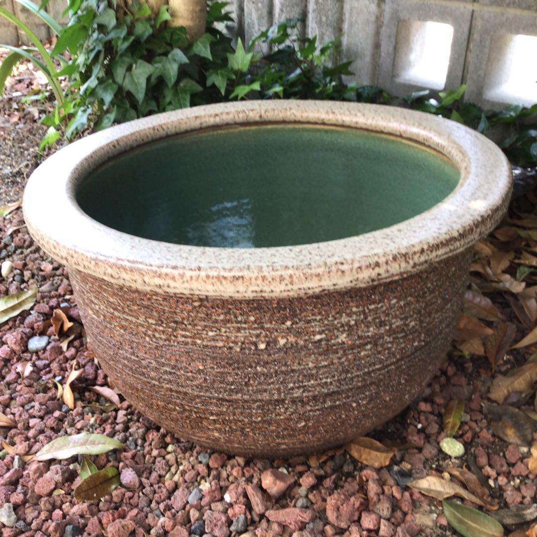 信楽焼　めだか鉢　睡蓮鉢　ビオトープ43.5cm