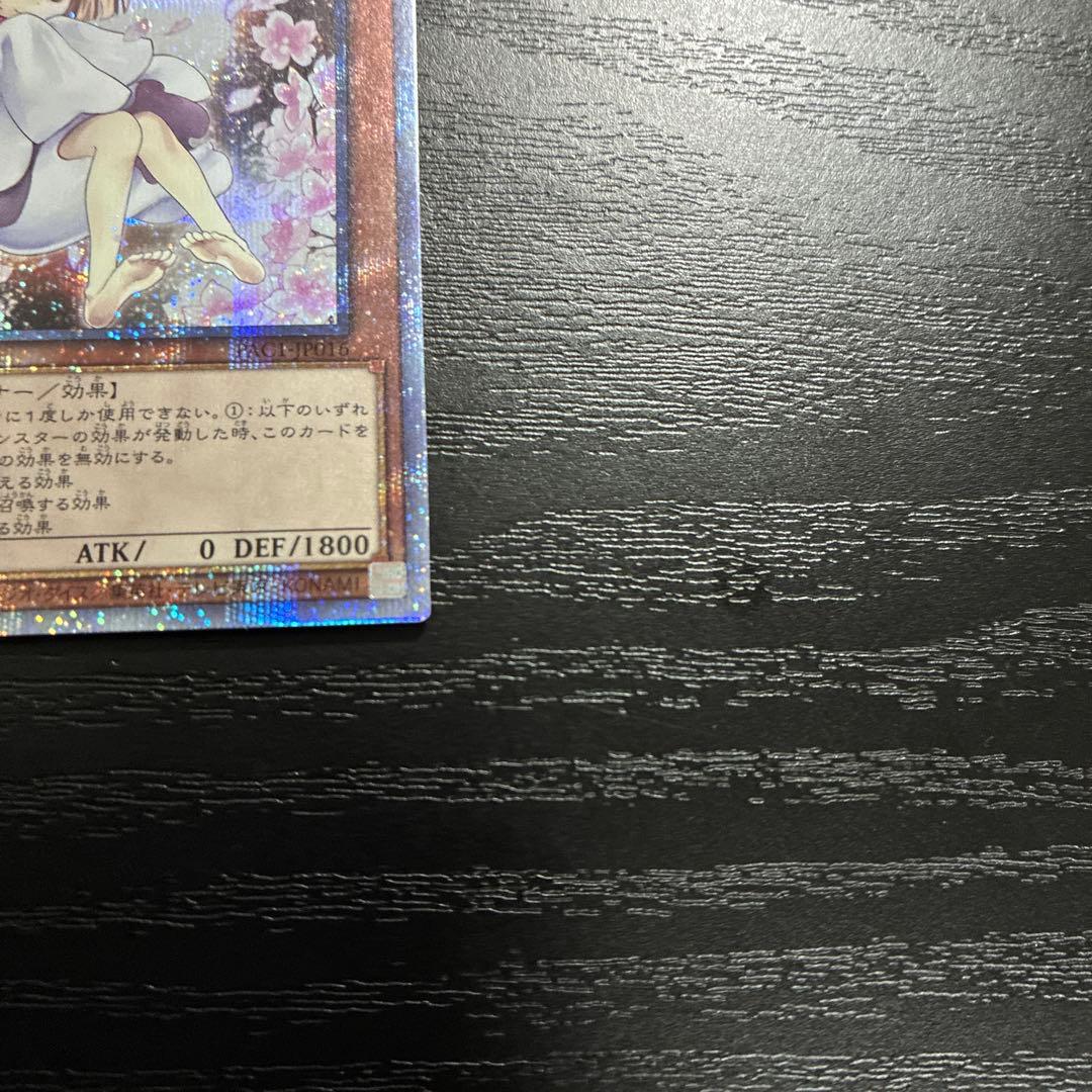 遊戯王　灰流うらら　絵違い　プリズマティックシークレットレア2枚