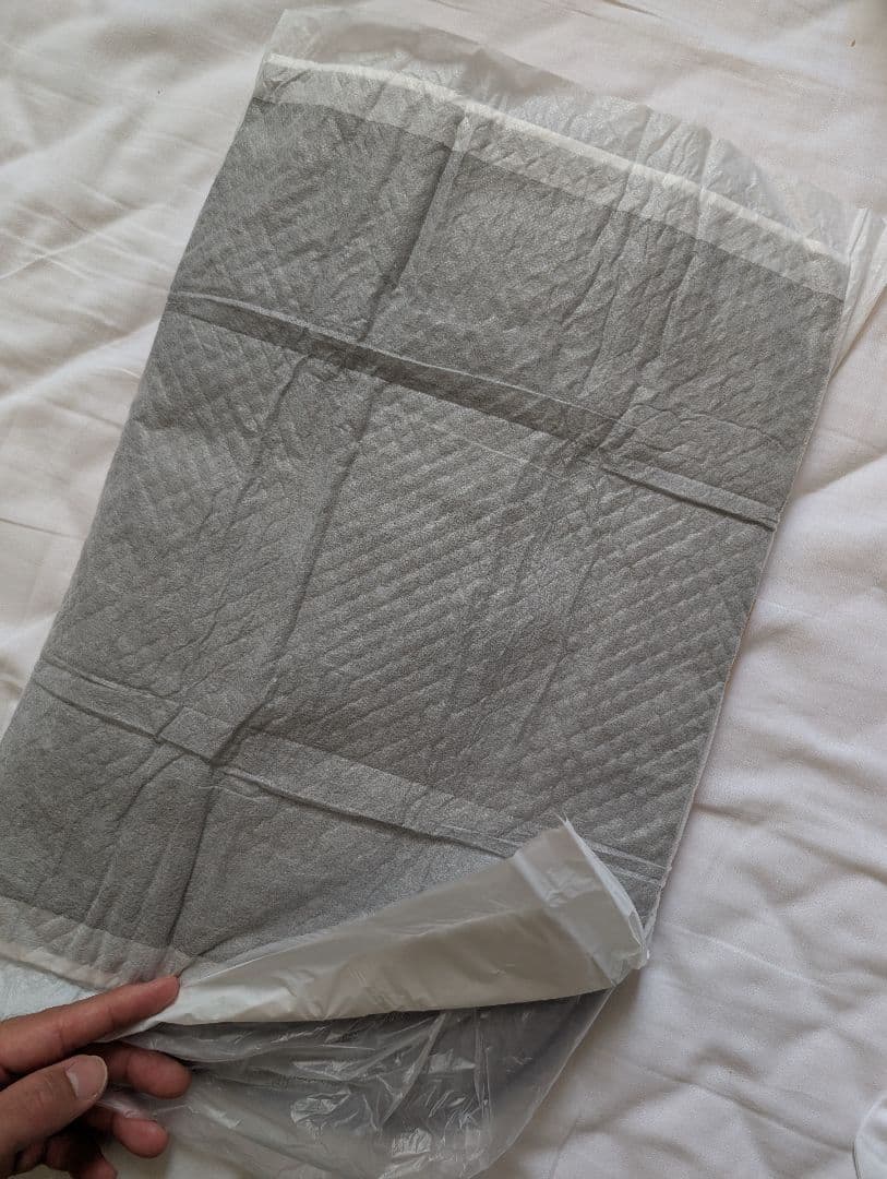 【一度使用美品】CAINZ カインズ　電車に乗せられるペットカート