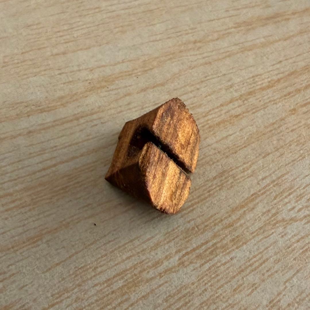 【二胡 】敦煌牌入門向け 本皮仕様 南胡 木製本体 弦・駒付 ハードケース付き