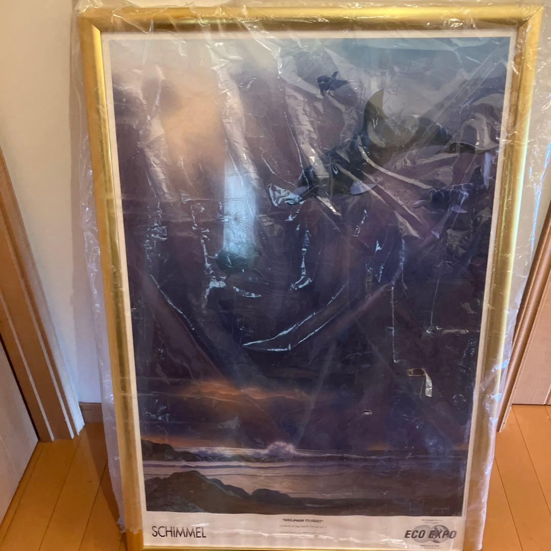 イルカポスター　額入り