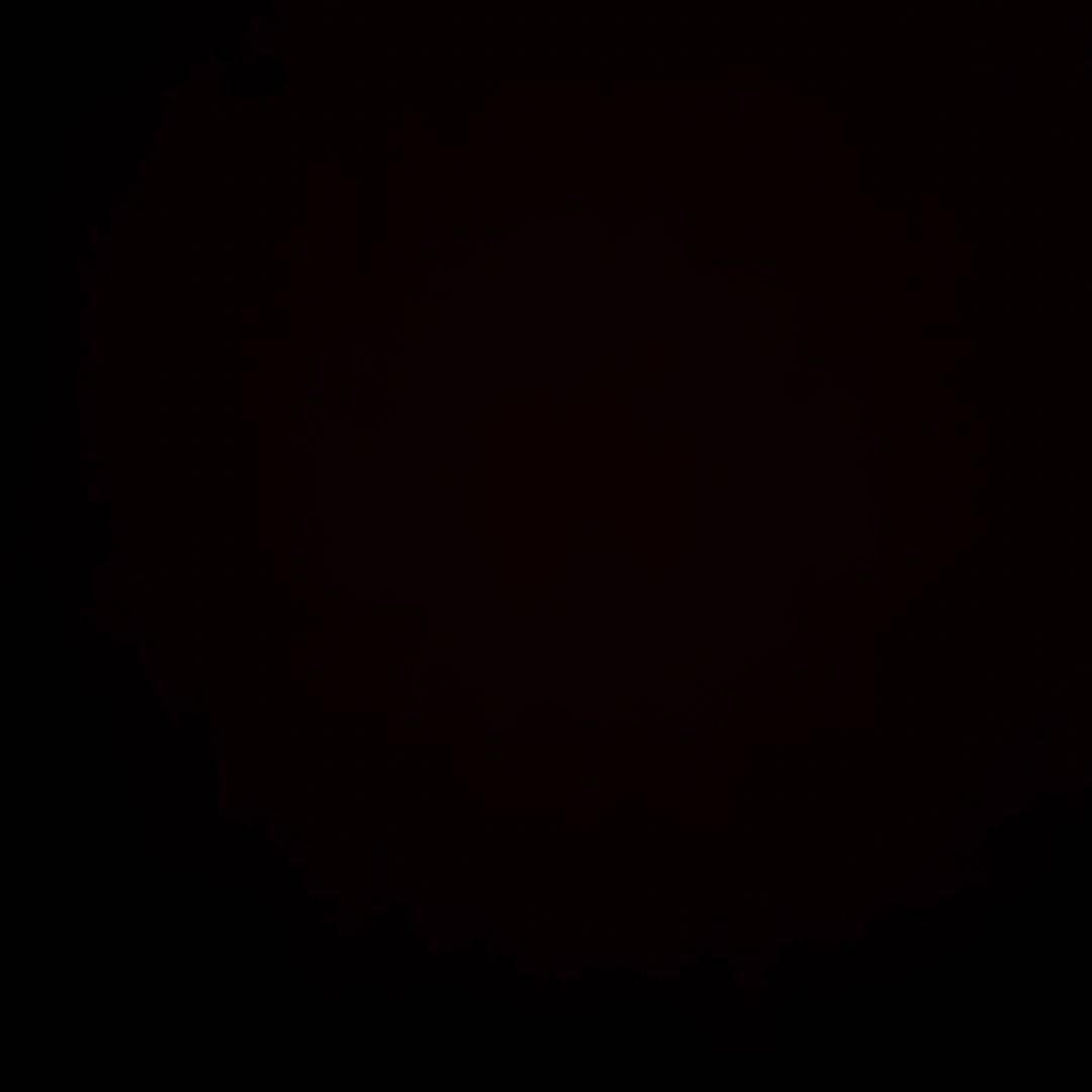 その他 Q