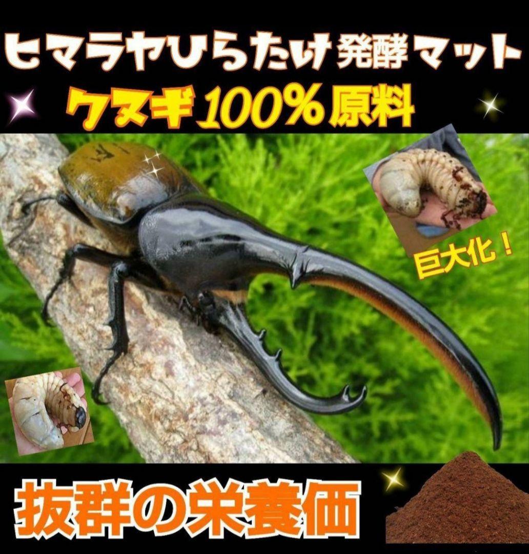 ヒマラヤひらたけ発酵カブトムシマット【60L】雑虫がわかない！幼虫の餌、産卵にも