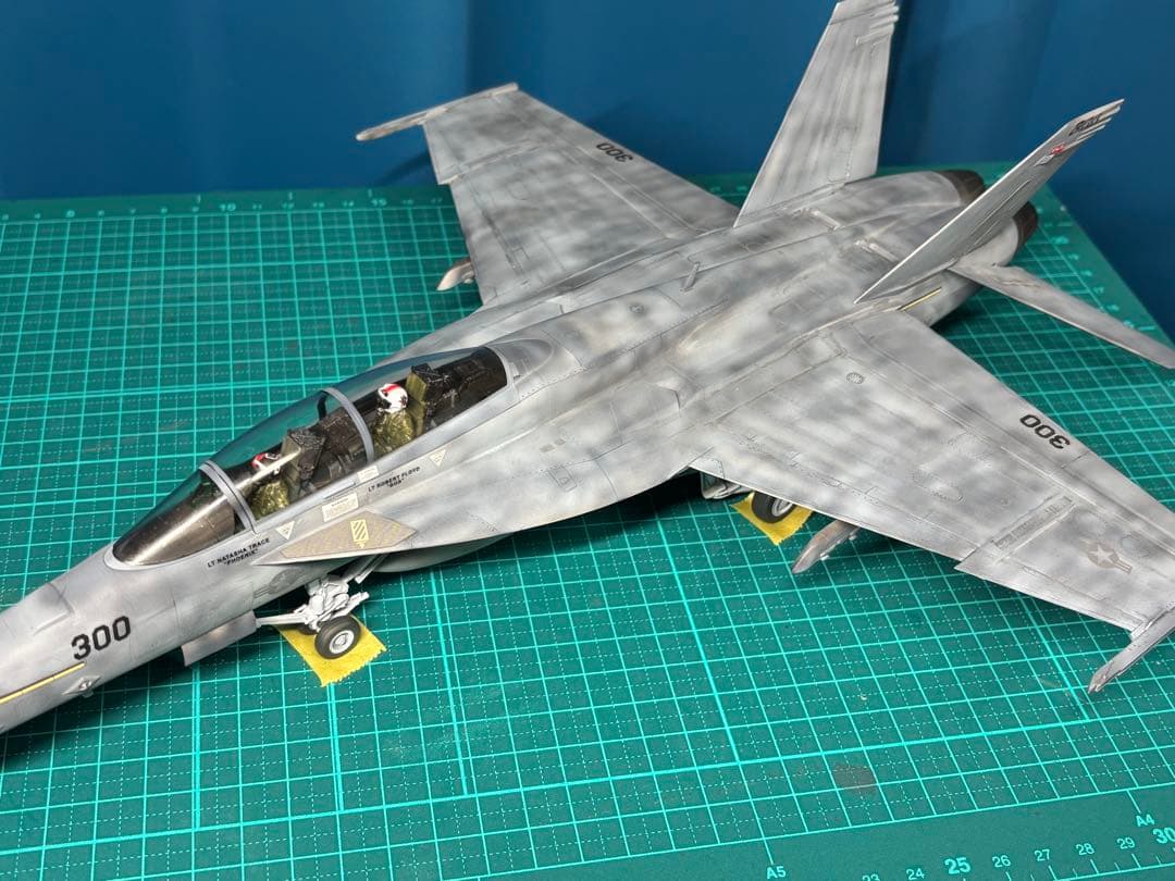 戦闘機　プラモデル　完成品　ハセガワ　1/48 F/A-18F