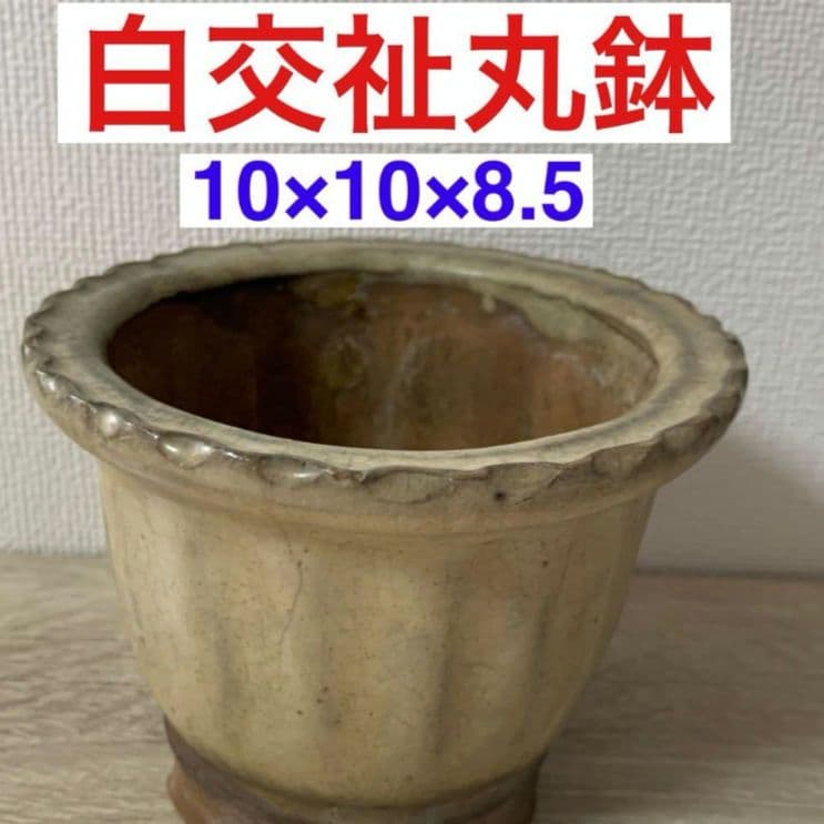 白交祉丸鉢