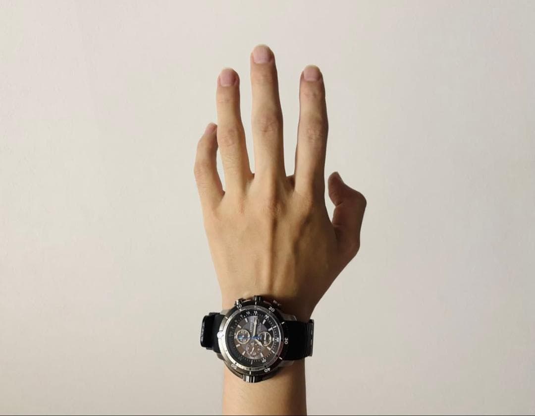 シチズン プロマスター アクアランド エコドライブ BJ2120-07E