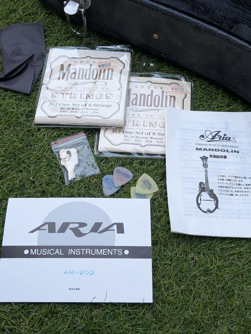 美品 Aria AM-200 フラットマンドリン バードケース付属品多数 アリア