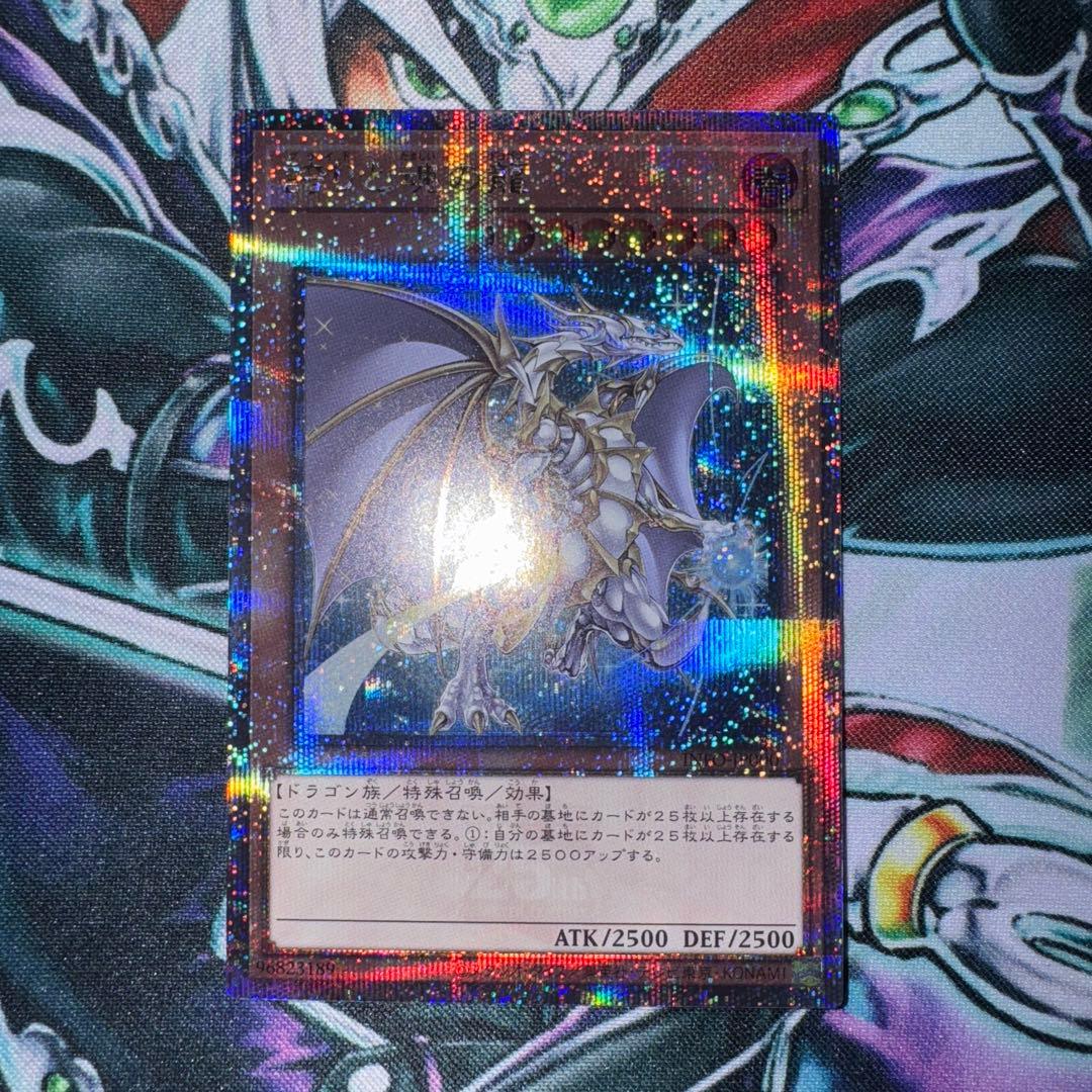 誇りと魂の龍 (INFO-JP000)　25th