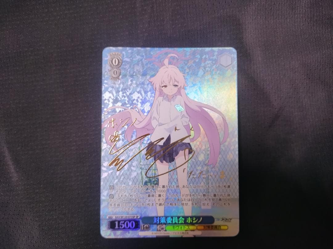 ブルーアーカイブ 対策委員会 ホシノ SP サイン