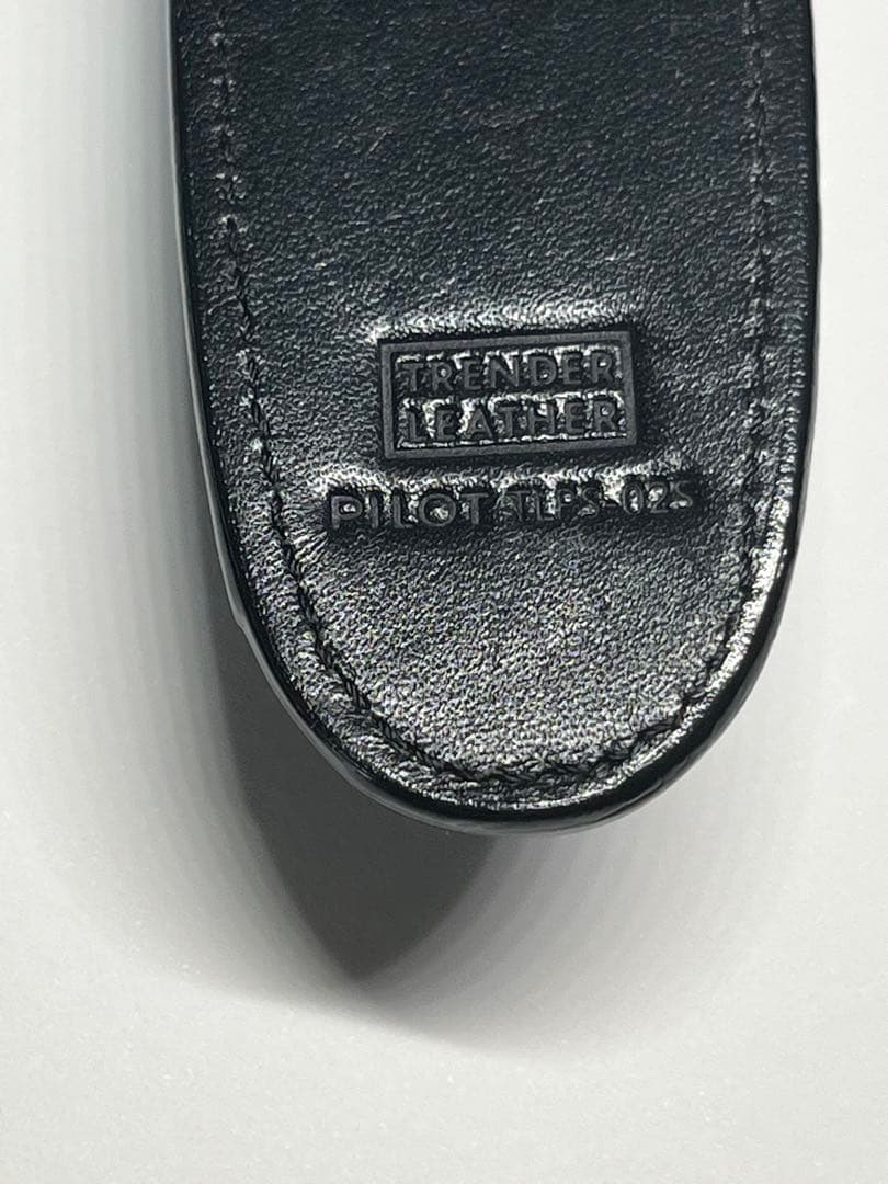 ※専用　PILOT CUSTOM 743 万年筆 14金 SFソフトファイン