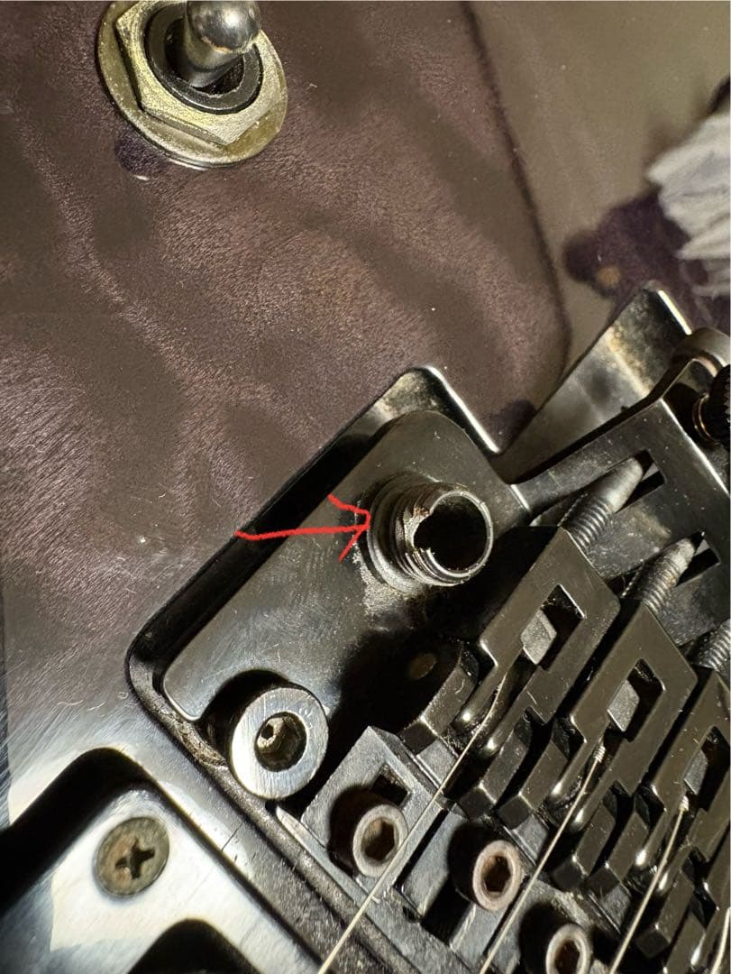 Edwards エドワーズE-FR-145GT フォレスト エレキギター