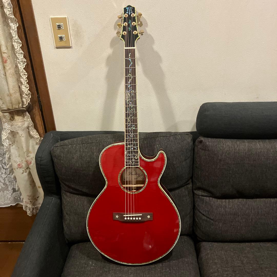 希少EARTHSHAKER MARCYシグネチャーモデル数量限定エレアコ