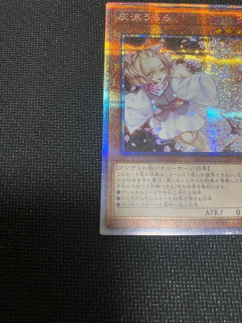 遊戯王　灰流うらら　プリズマ　アーコレ