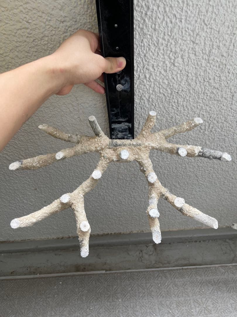 人工ライブロック　ライブロックレイアウト(飛ぶレイアウト)高さ調整可能 擬岩