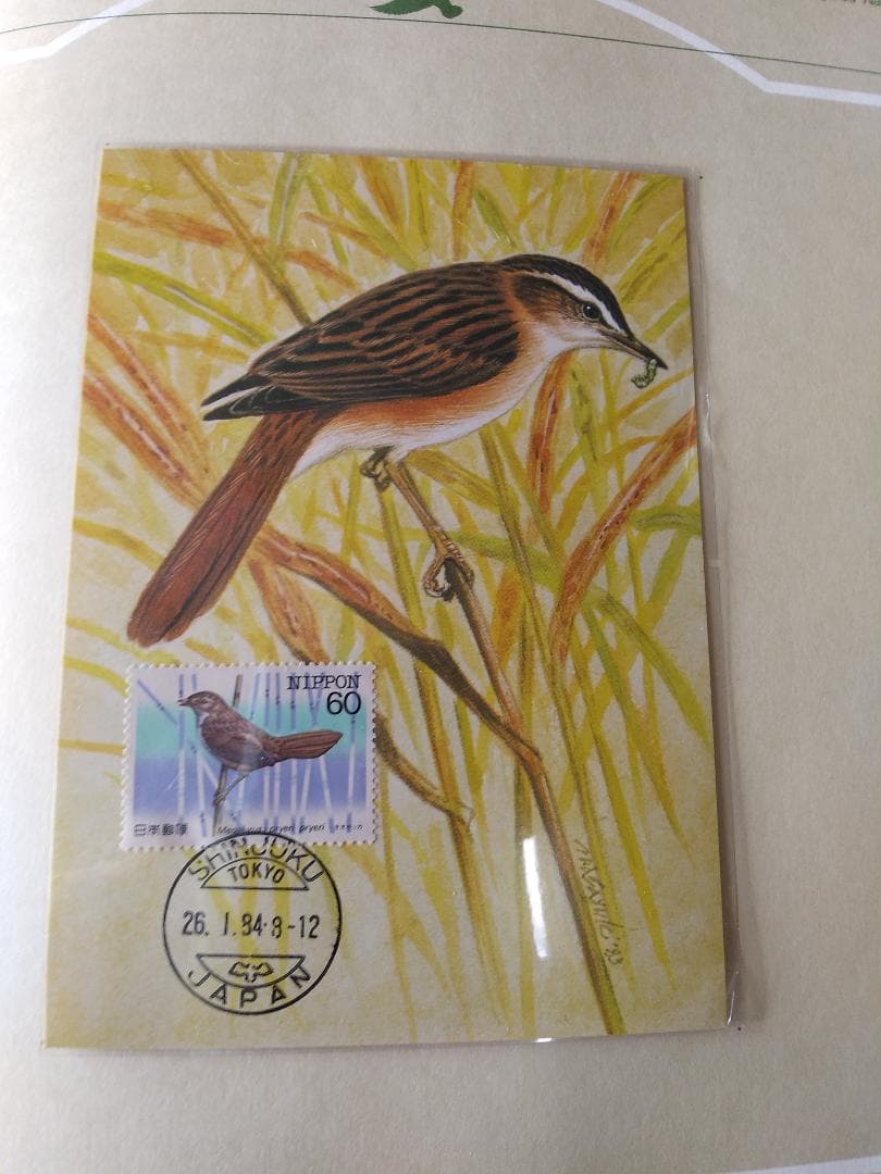 初日カバー マキシマムカード 特殊鳥類シリーズ切手コレクション 22通 新品