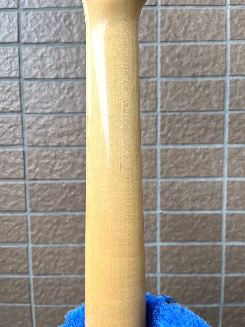 【動作◯】 シェクターネック コンポーネントギター