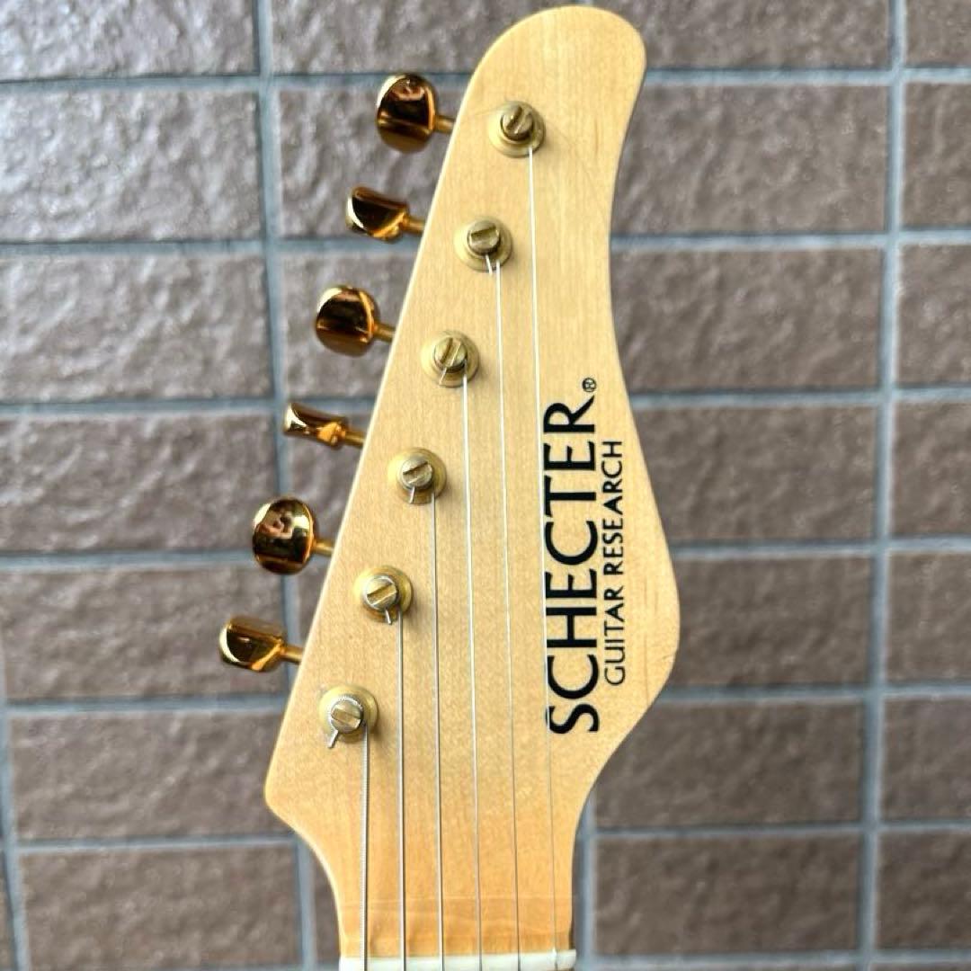 【動作◯】 シェクターネック コンポーネントギター