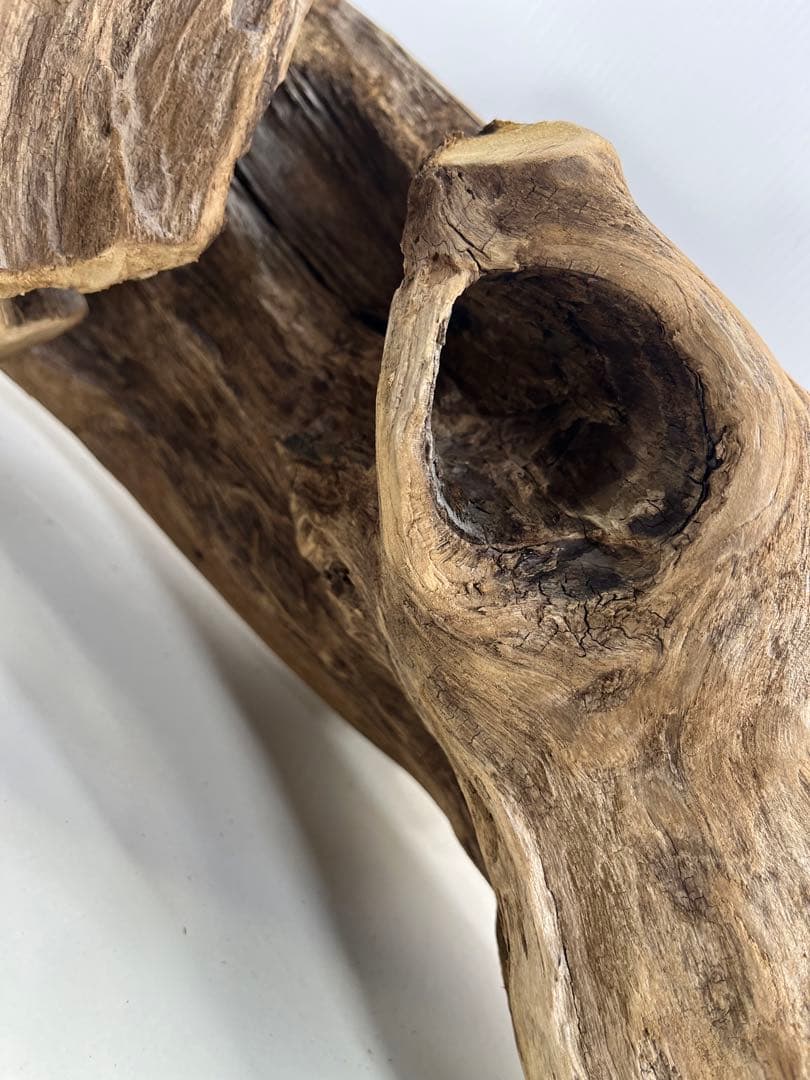 V70特大流木 アク抜き済み流木 爬虫類シェルター 登り木 インテリア 生け花