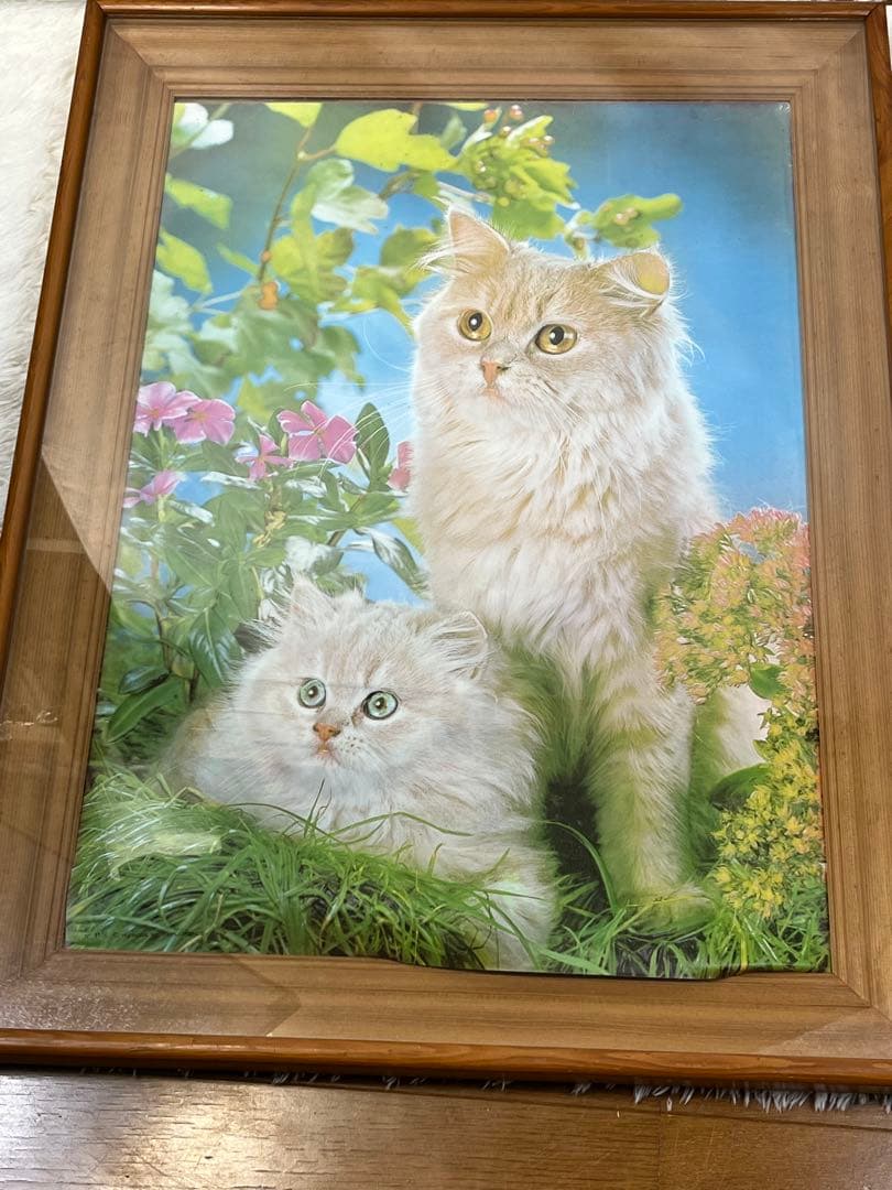 額入り61.0cm 立体壁掛け 仔猫達 （立体画）1154