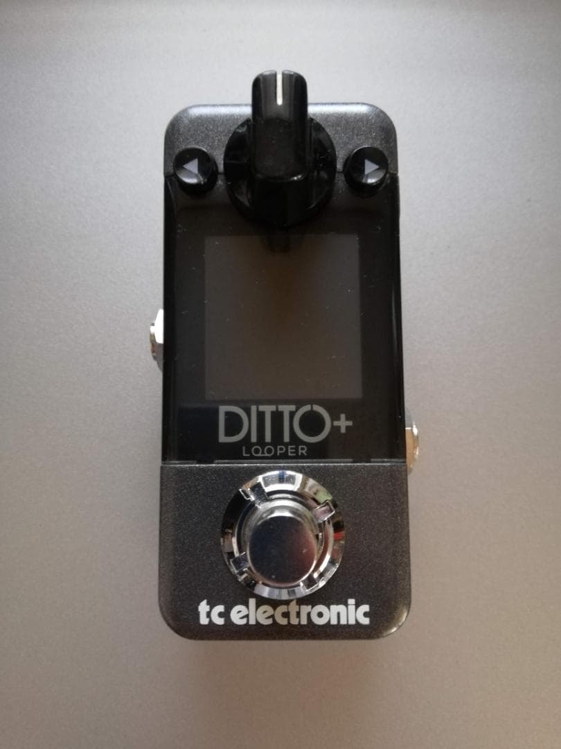 DITTO+ LOOPER 　 TC Electronic
