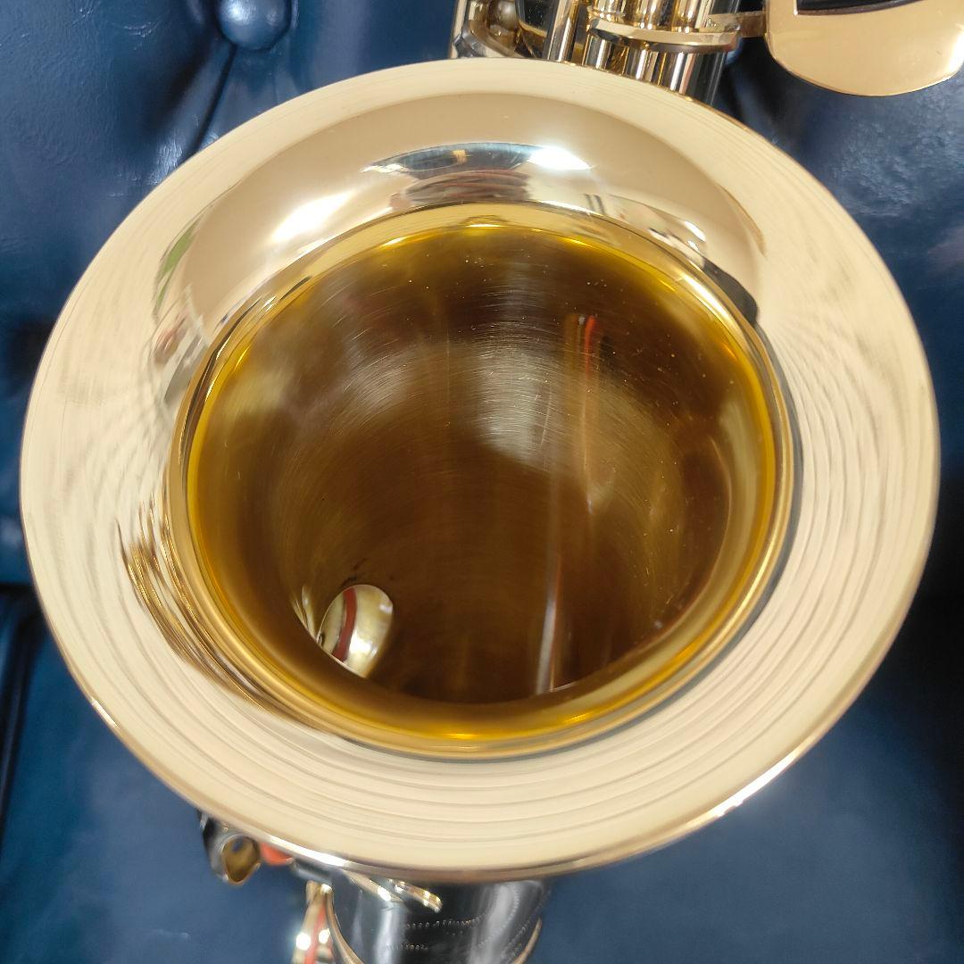 【美品】SELECTION セレクション アルトサックス セミハードケース付き