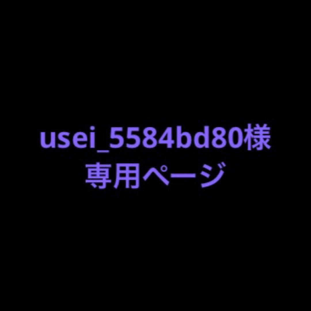usei_5584bd80ページ