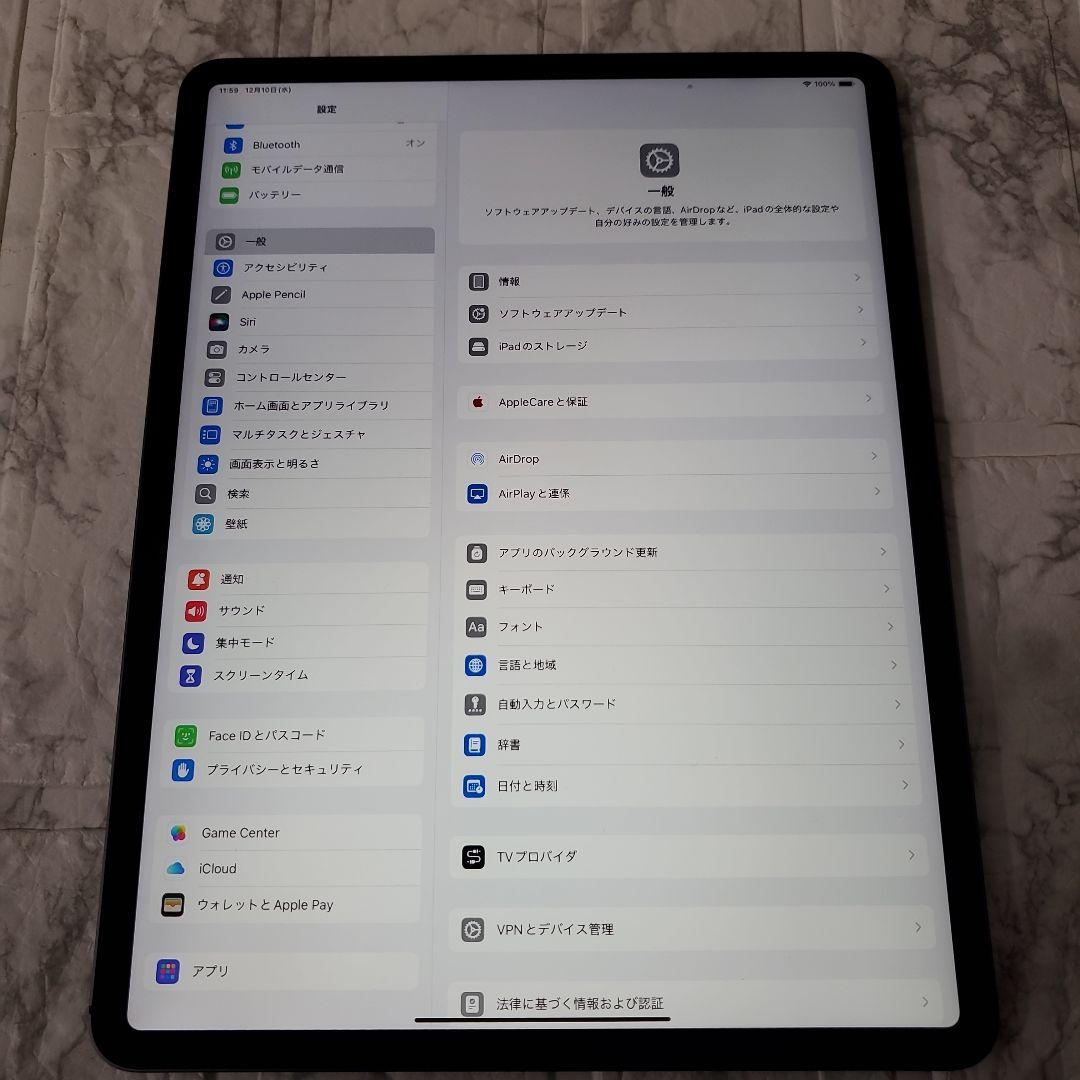 226 iPad pro 12.9 4世代 256GB SIMフリー