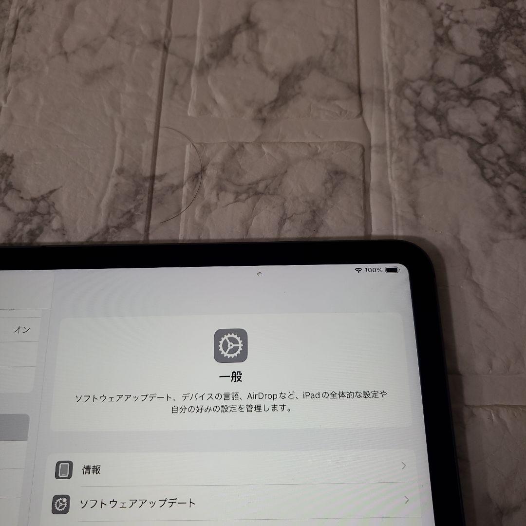 226 iPad pro 12.9 4世代 256GB SIMフリー