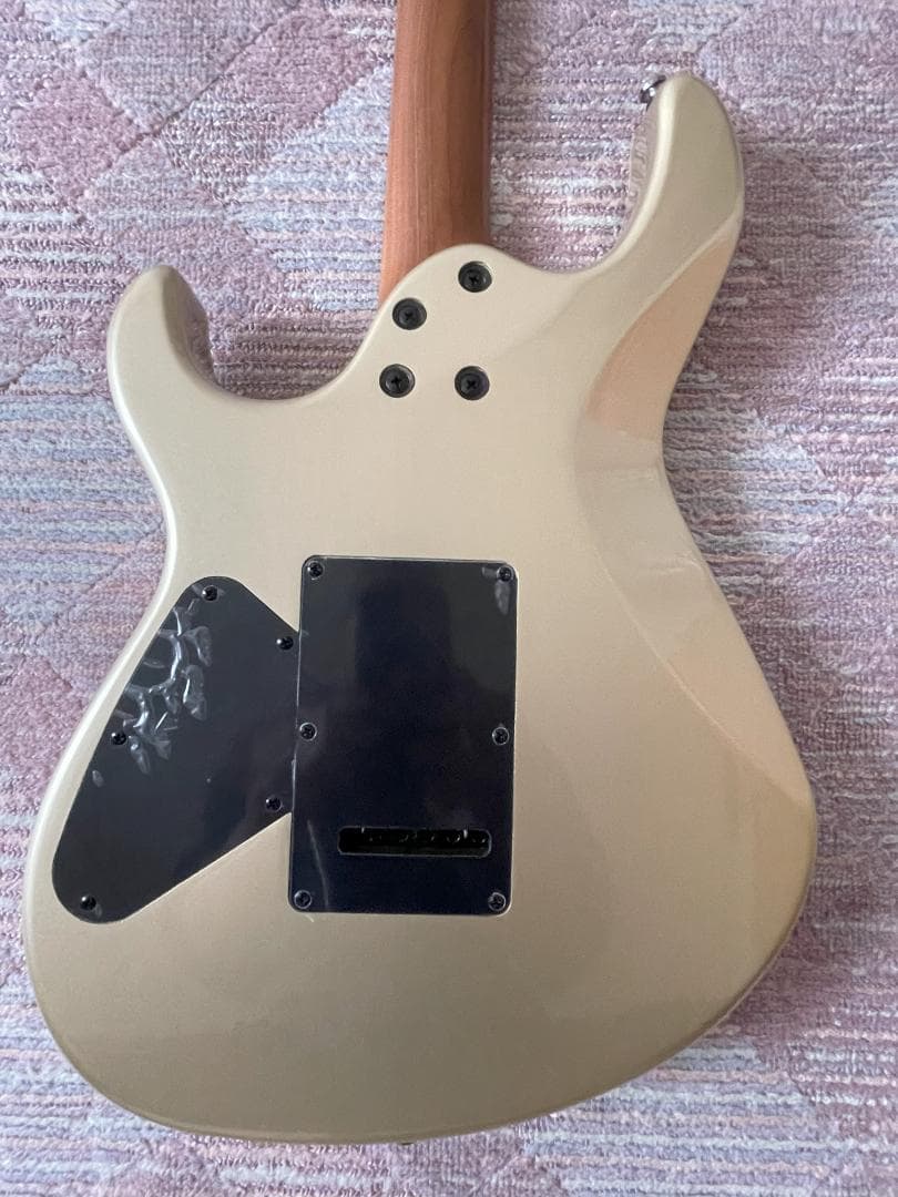 Cort / G300 Proゴールド ハムバッカー搭載・おまけ2点付き特価