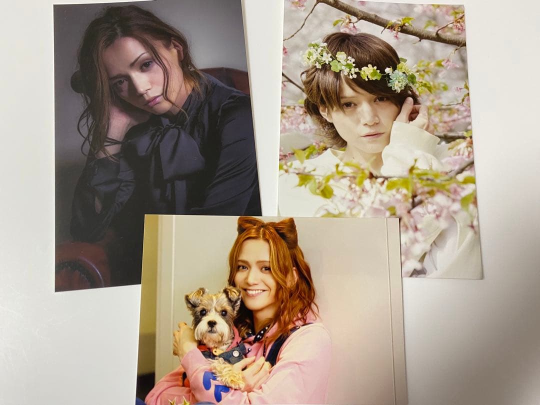 三浦涼介 旧ファンクラブ リボンタイ 花冠 あさステ！ 特典 ブロマイド