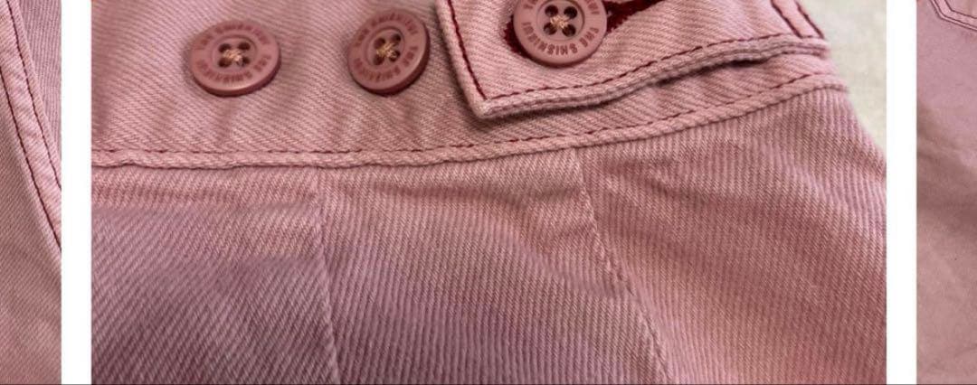 THE SHISHIKUI京都限定Painter pants L.PINK