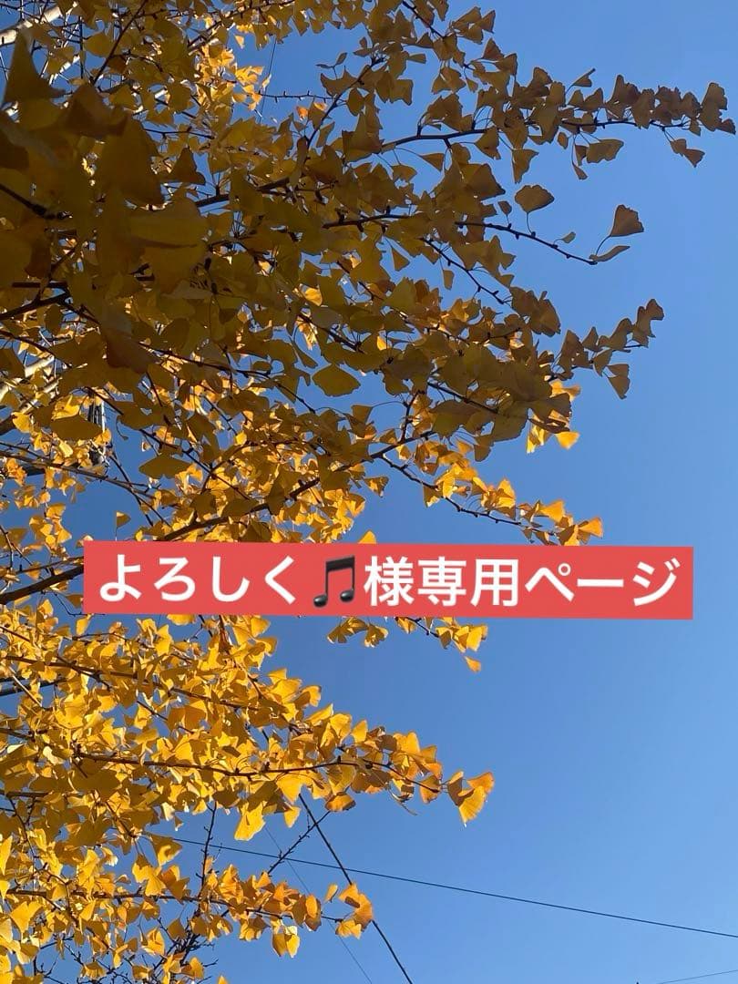 よろしく♫ページ　4-4.5mmパールリング　2点