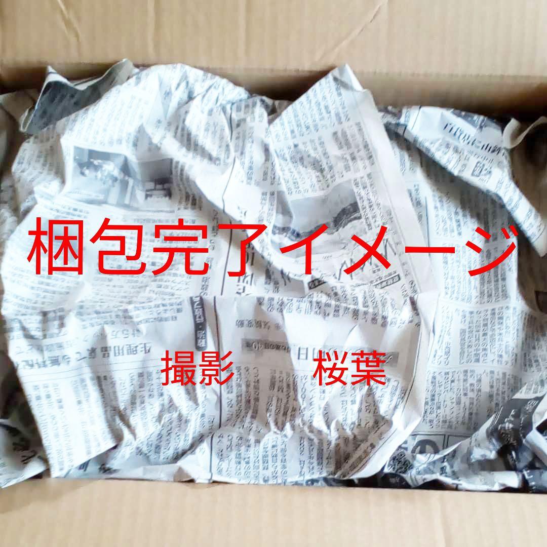 ガンプラ hg ガンダムTR-1　ハイゼンスレイ 内袋未開封　未組立