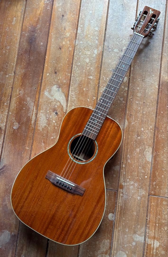 エレアコ DCT F-200E Fishman搭載