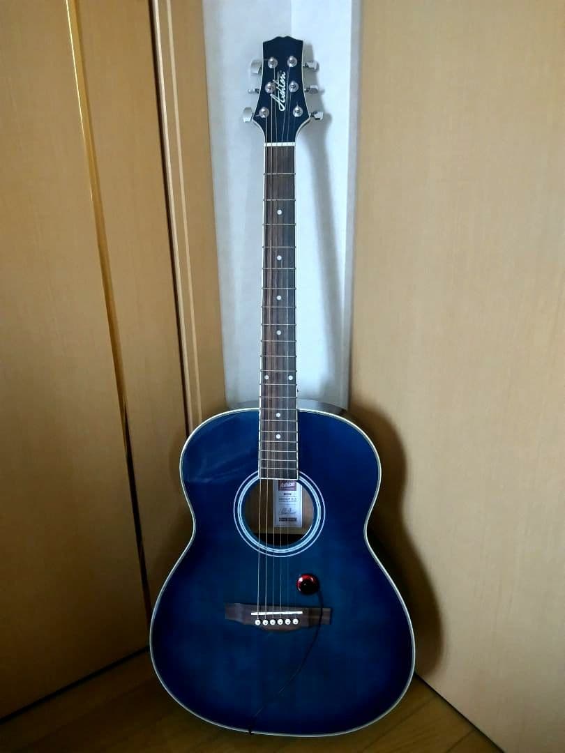 Ashton Acoustic Guitar アクアブルーアコギ 初心者に最適