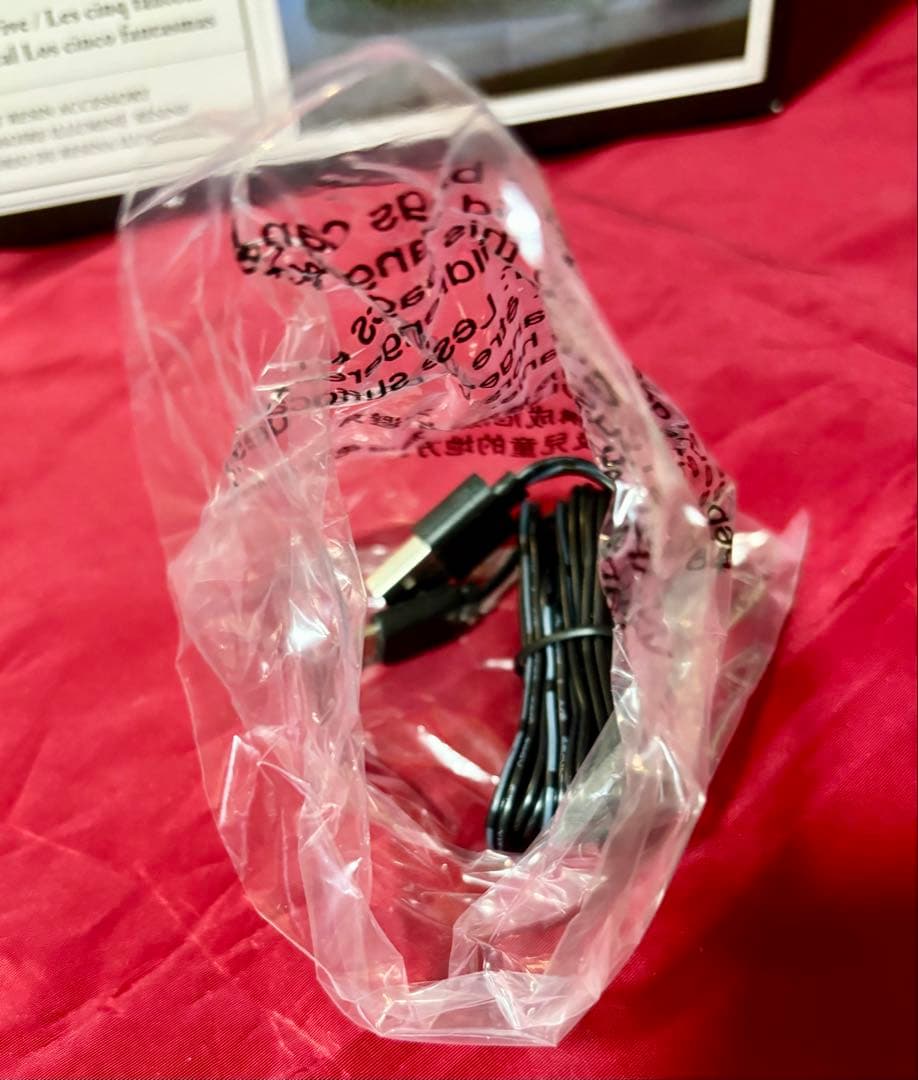 エネスコ　Department56 ホーンテッドマンション　ファントムファイブ