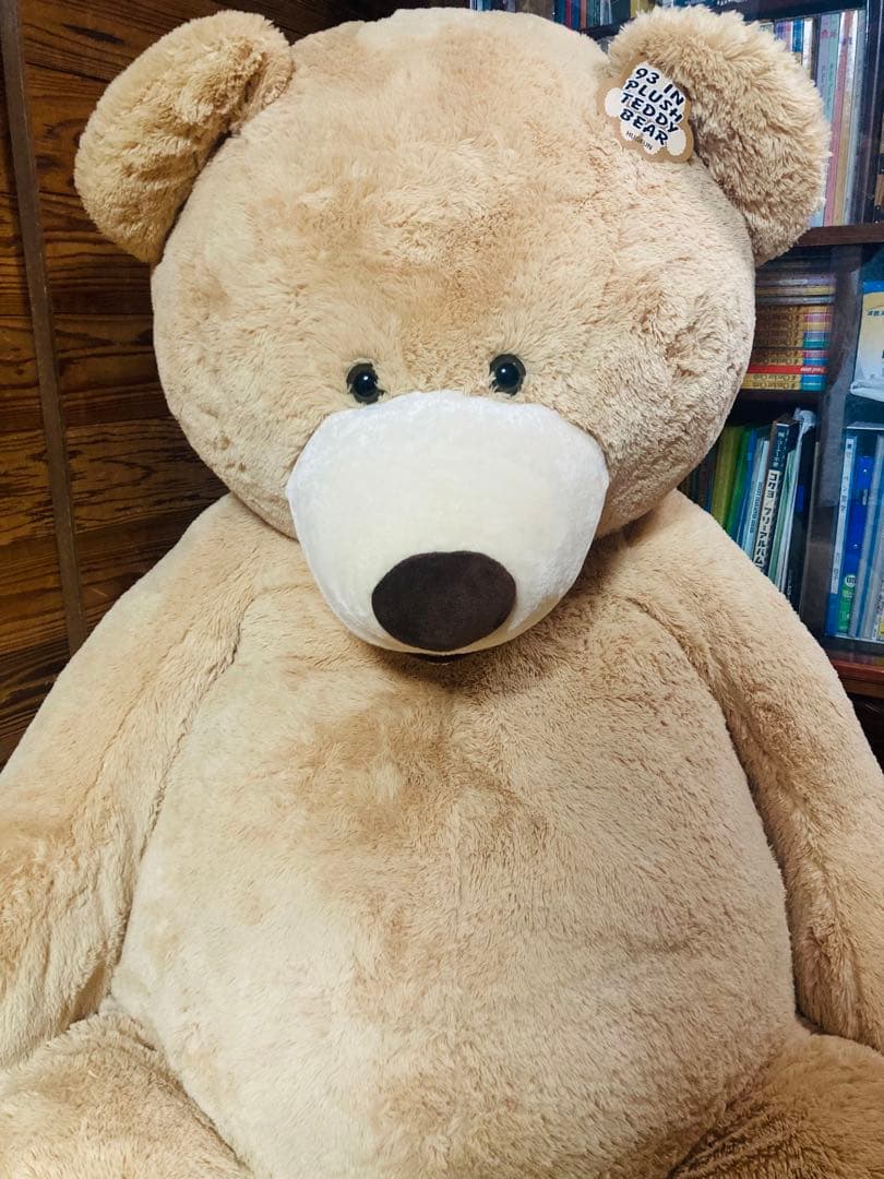 コストコ くま ぬいぐるみ COSTCO big bear 236cm