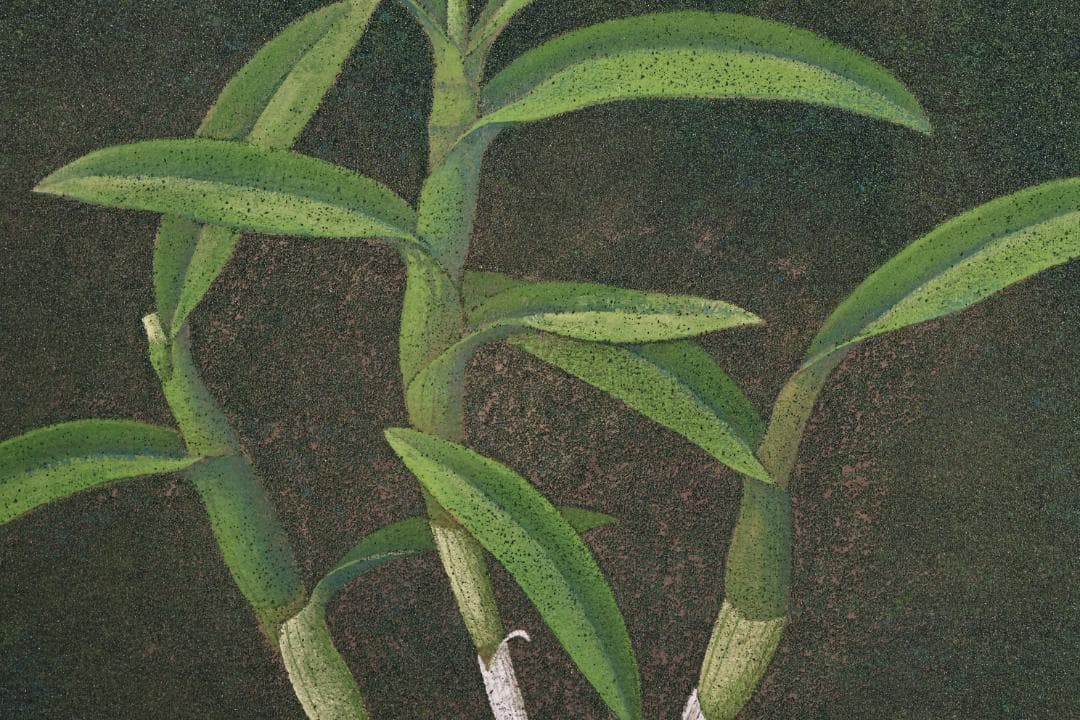 池内璋美 「 蘭花 」　10号　岩彩画　共シール　タトウ　黄袋　BK60