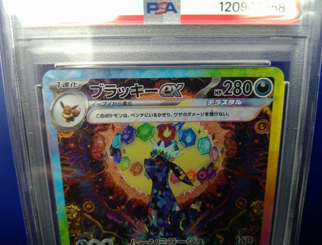 ブラッキー ex SAR SV8a テラスタルフェスex 217/187