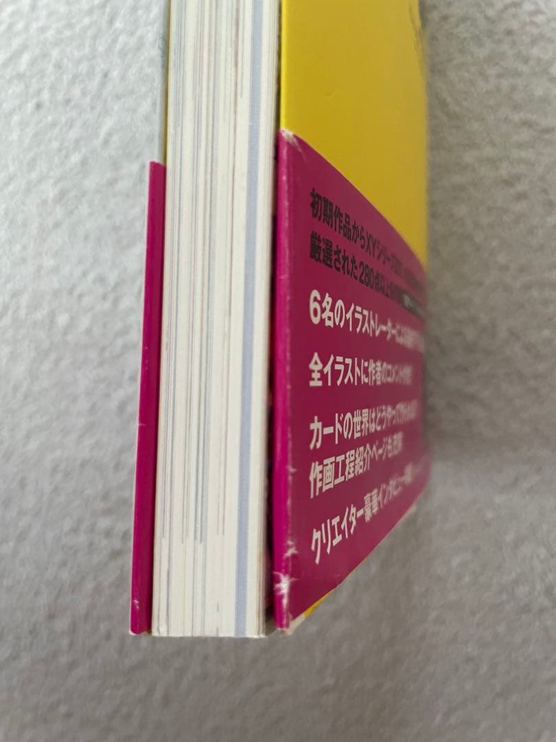 おきがえピカチュウ　レックウザ　 イラストコレクション