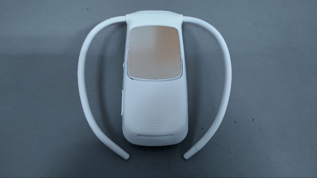 SONY REON POCKET5 ソニー レオン ポケット5