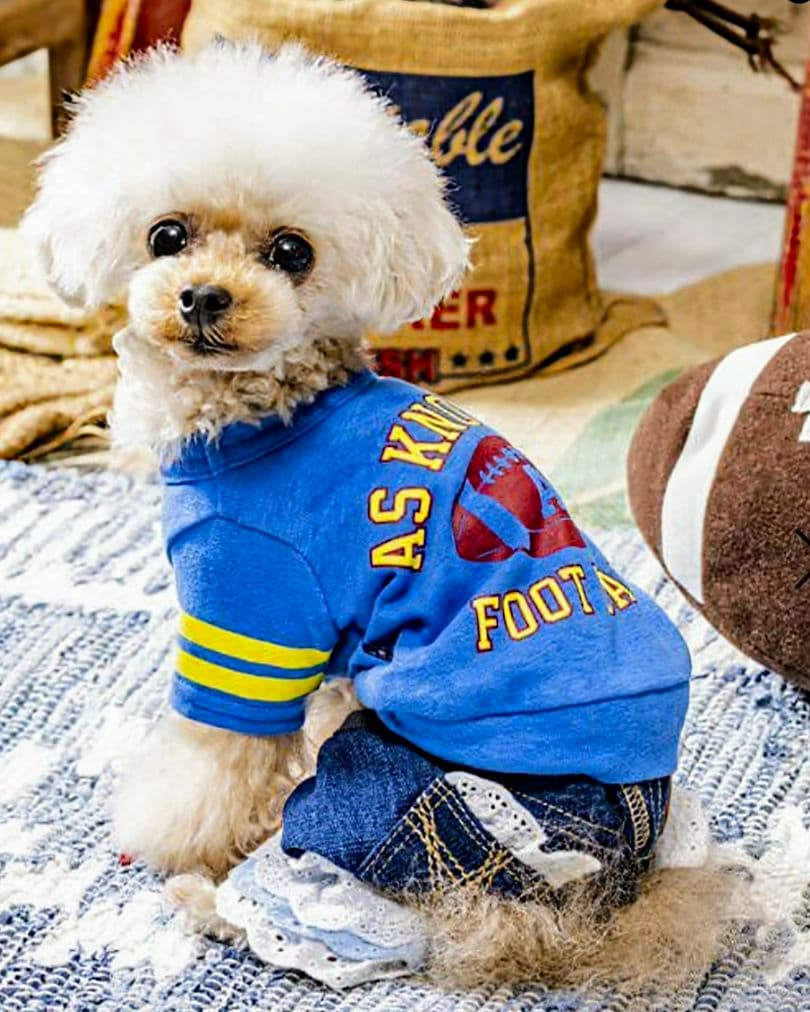 新品タグ付き　レース☆デニムPT 　asknowasdewan　アズノウアズデワ