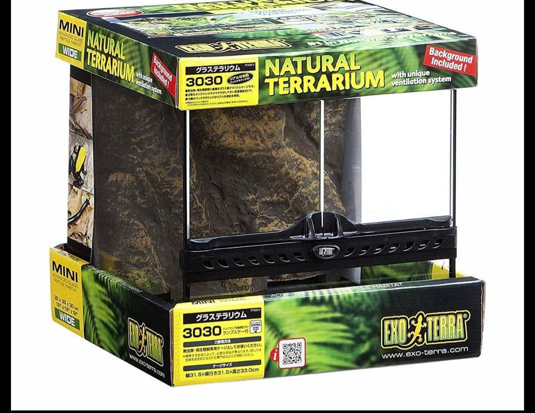 直接引き取り　グラステラリウム3030 爬虫類　飼育ゲージ　セット　レオパ