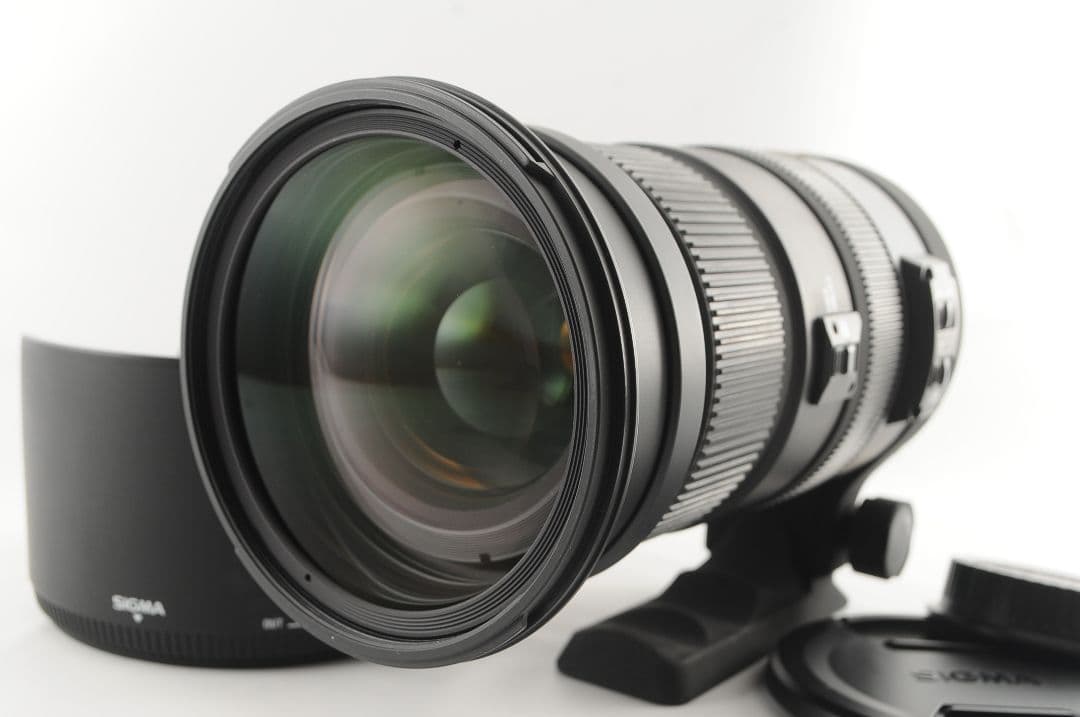 にゃんこじ SIGMA 50-500mm DG OS HSM キヤノン用