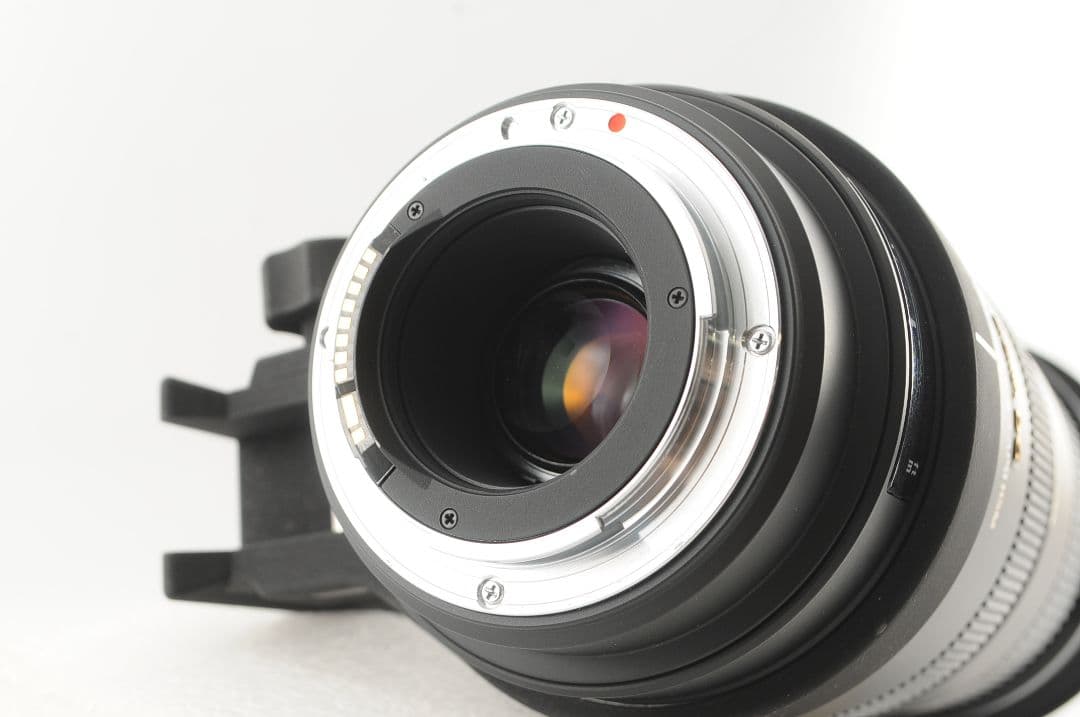 にゃんこじ SIGMA 50-500mm DG OS HSM キヤノン用